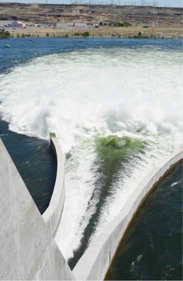Fish bypass