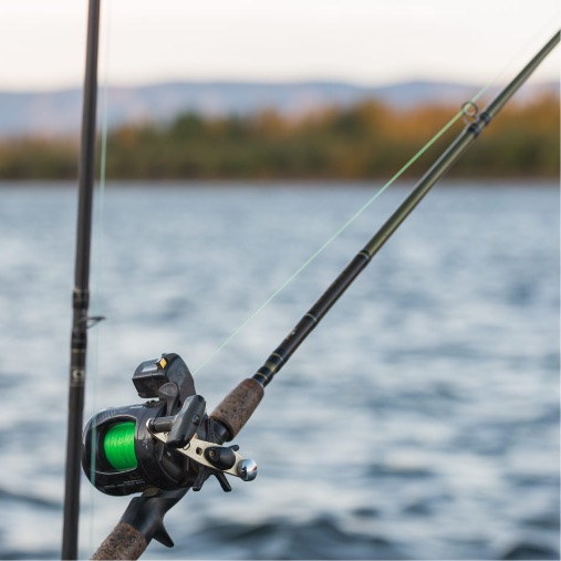Fishing pole