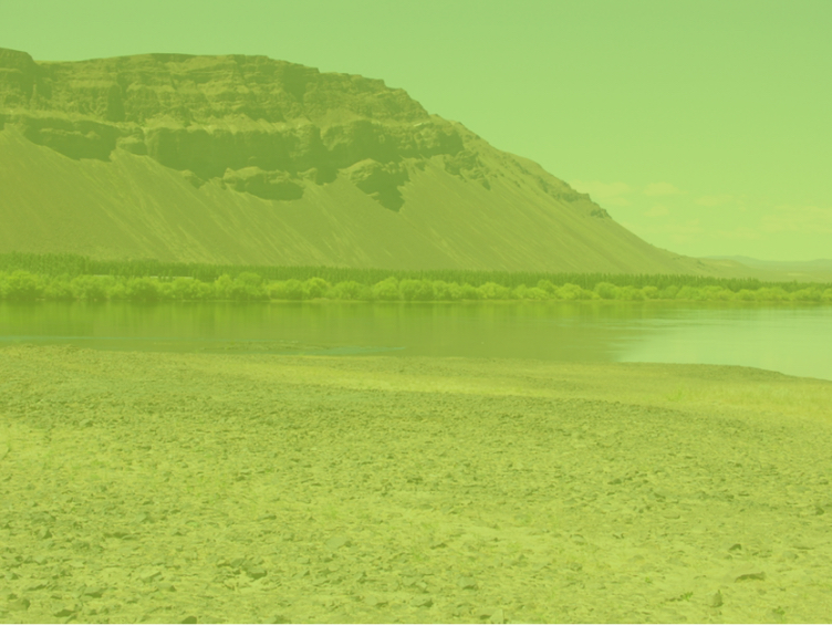 Priest Rapids Project Landscape