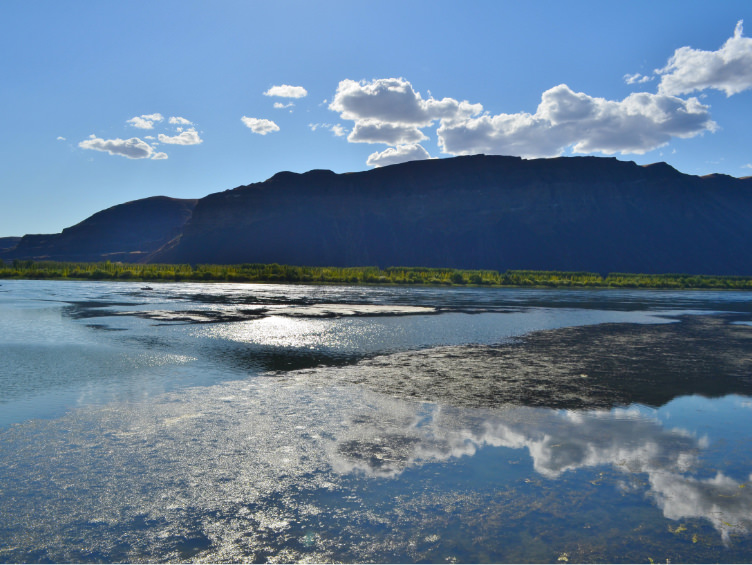 Prp Landscape 01