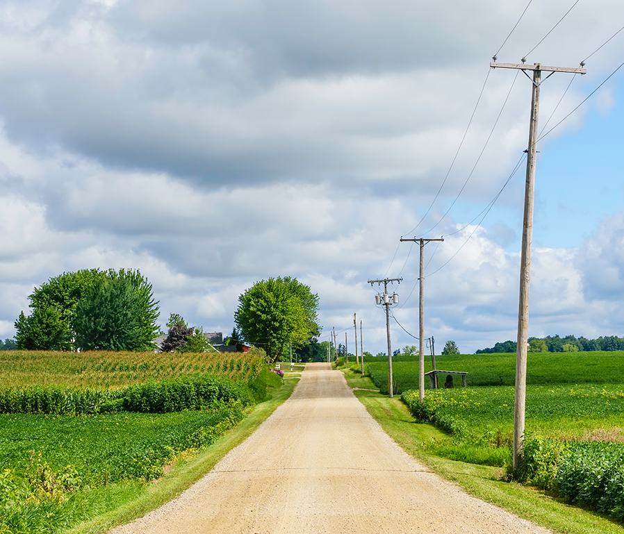Trees on country road