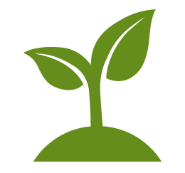Key icon