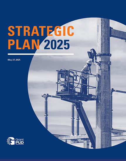 2025-strategic-plan