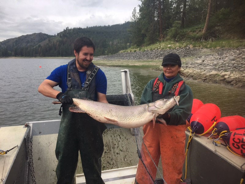 B2ap3 Large 051419 Sanpoil Pike Female Photo By Colville Confederated Tribe 20190823 215732 1