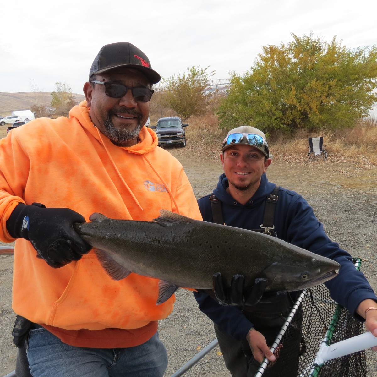 B2ap3 Large 10 25 2019 Alan Cod 20191101 161819 1