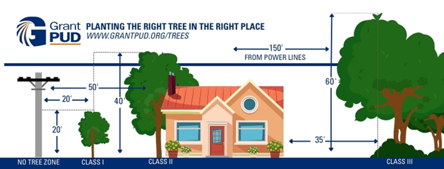 2025 Tree Management 150 2