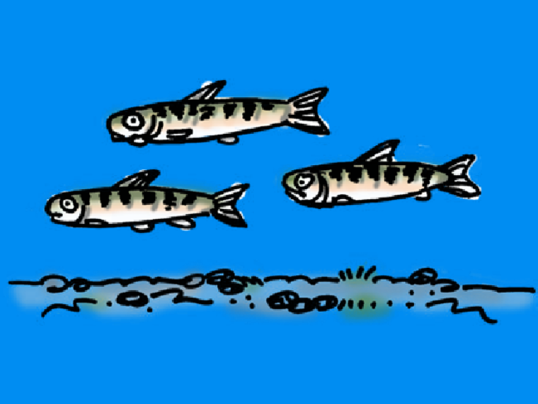 Fry illustration