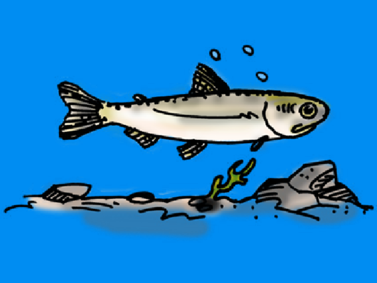 04 fingerling