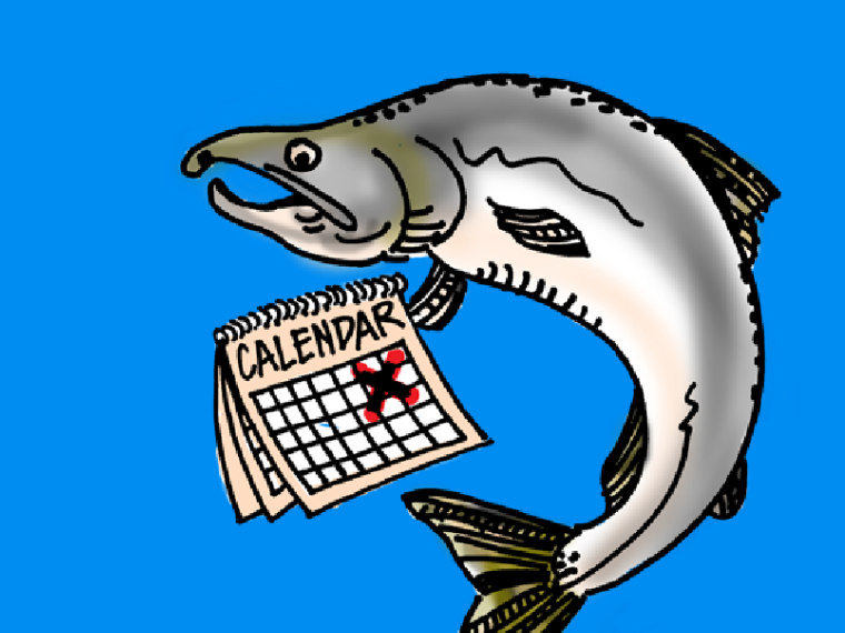 06 pacific ocean