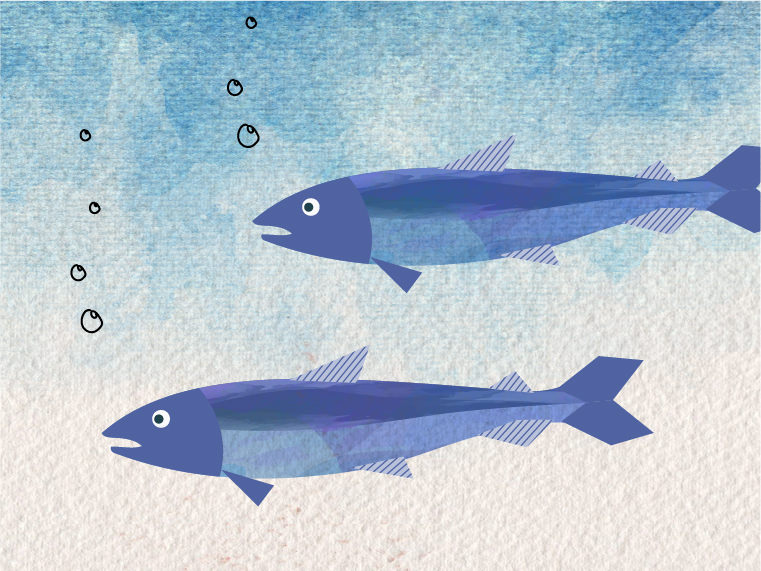 05 smolt