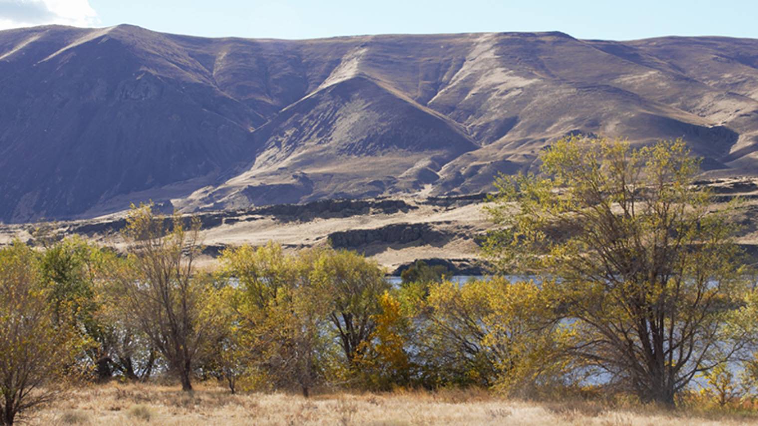 riparian habitat