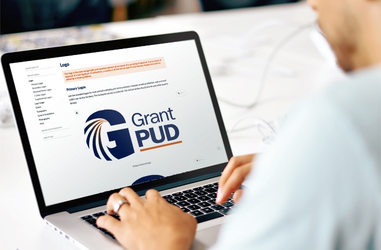 Person on laptop computer looking at brand assets