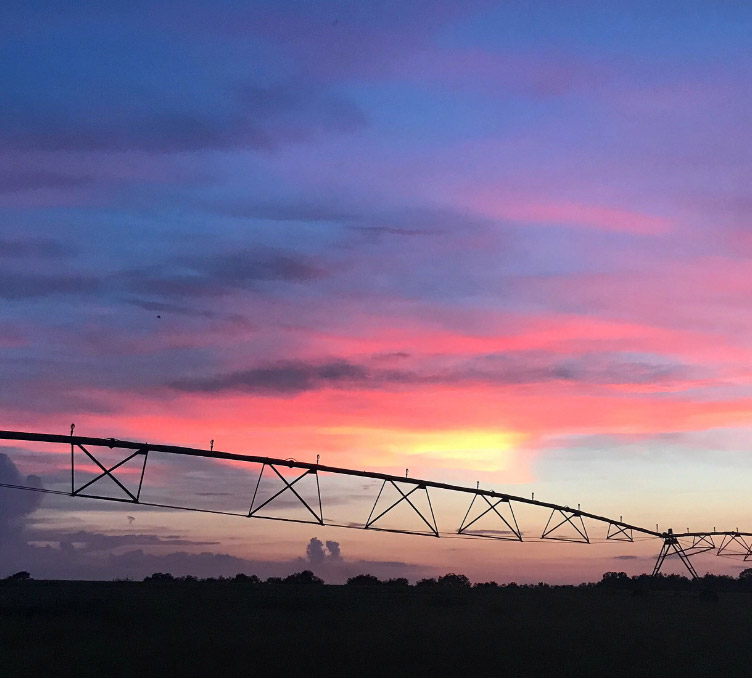 irrigation sunset