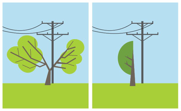 directional pruning vs side pruning
