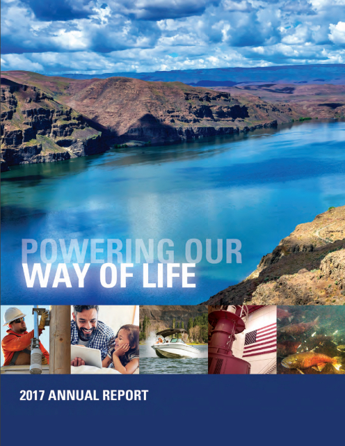 Annual Report 2017 Cover