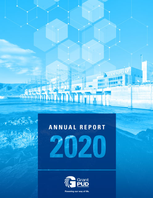 Annual Report 2020 Cover