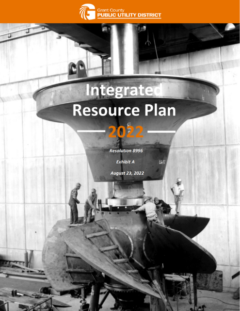Cover Page of IRP 2020