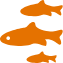 fish icon