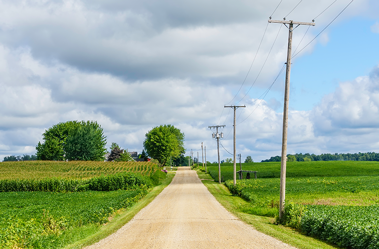 trees and power lines on a country road