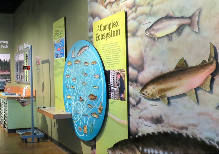 Inside the visitors center